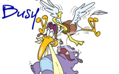 The stork was busy, AGAIN!