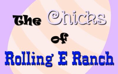 Raising Happy Healthy Chicks Part 2