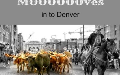 The Denver National Western Stock Show