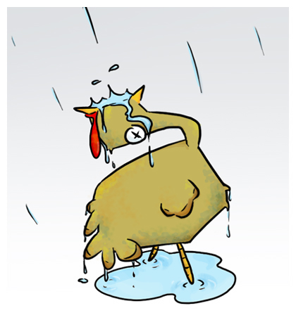 Cartoon of a turkey standing in the rain and looking at the sky - Snoods are Flying from Rolling E Ranch