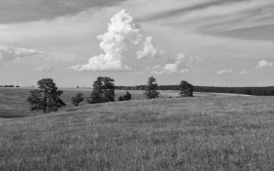 The History of our 1903 Homesteaded Ranch