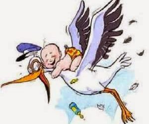 The stork was busy today
